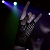 amyleefans37051.png