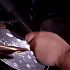 amyleefans38671.png