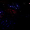 amyleefans38851.png