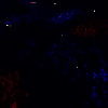 amyleefans39211.png