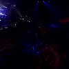 amyleefans39391.png