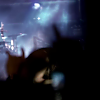 amyleefans40381.png