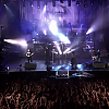 amyleefans40441.png