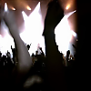 amyleefans40591.png