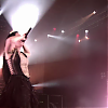 amyleefans41041.png