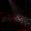 amyleefans41341.png