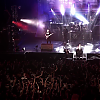 amyleefans41431.png