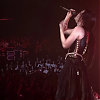 amyleefans41521.png