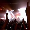 amyleefans41911.png