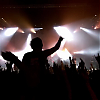 amyleefans42061.png