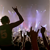 amyleefans42451.png