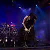 amyleefans42631.png