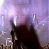 amyleefans42721.png