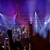 amyleefans42751.png