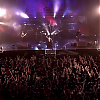 amyleefans42931.png