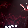 amyleefans43081.png