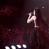 amyleefans43141.png