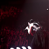 amyleefans43171.png