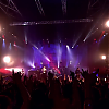 amyleefans43231.png