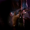 amyleefans43381.png
