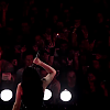 amyleefans43501.png