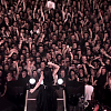 amyleefans43531.png