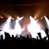 amyleefans44191.png