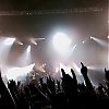 amyleefans44371.png