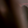 amyleefans44671.png