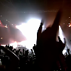 amyleefans44701.png