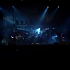 amyleefans45451.png