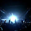 amyleefans45571.png