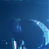 amyleefans45661.png