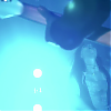 amyleefans46561.png