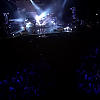 amyleefans47191.png