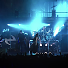 amyleefans47251.png