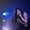 amyleefans48001.png