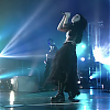 amyleefans48541.png
