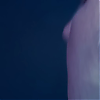 amyleefans48721.png