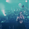 amyleefans48871.png