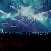 amyleefans49171.png