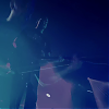 amyleefans49381.png