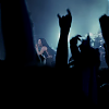 amyleefans49861.png