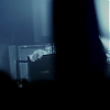 amyleefans49981.png