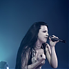 amyleefans50341.png