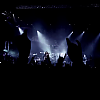 amyleefans50431.png