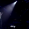 amyleefans50461.png