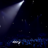 amyleefans50491.png