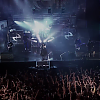 amyleefans50671.png