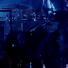 amyleefans50851.png